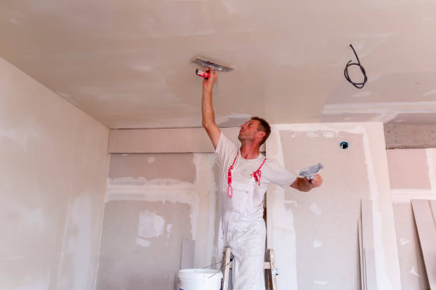 Best Trim and Molding Painting  in Keokea, HI